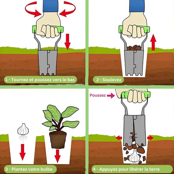 Transplanter 3